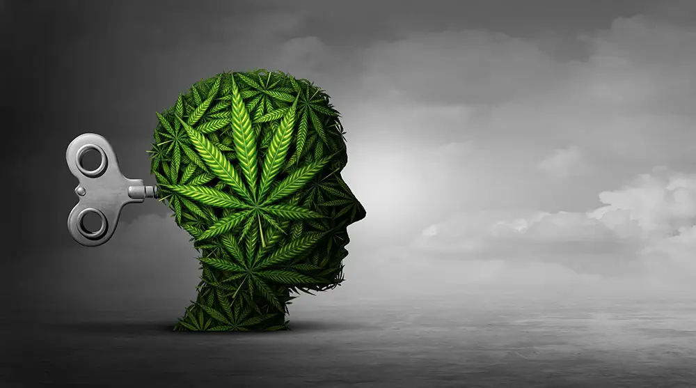 “Signs of cannabis addiction affecting an adult’s daily life”